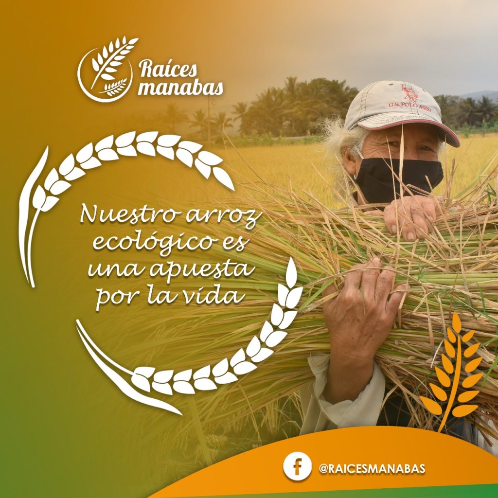 Cierre del proyecto Manabí Convida, liderado por FIDES con el financiamiento del Fondo Ítalo Ecuatoriano para el Desarrollo Sostenible - FIEDS.